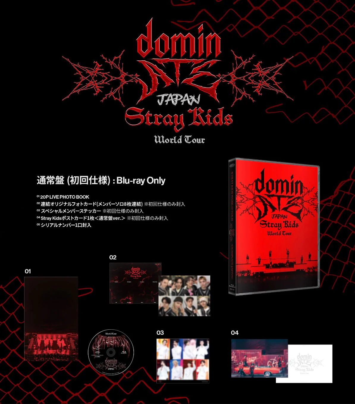STRAY KIDS - WORLD TOUR 'DOMINATE JAPAN' (BLU-RAY) - Image 3